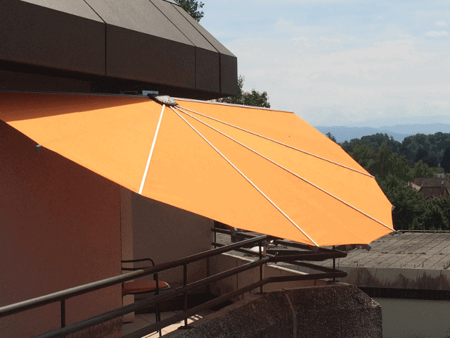Belalatus® ten – Bild 19
