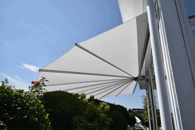 Belalatus® ten – Bild 14