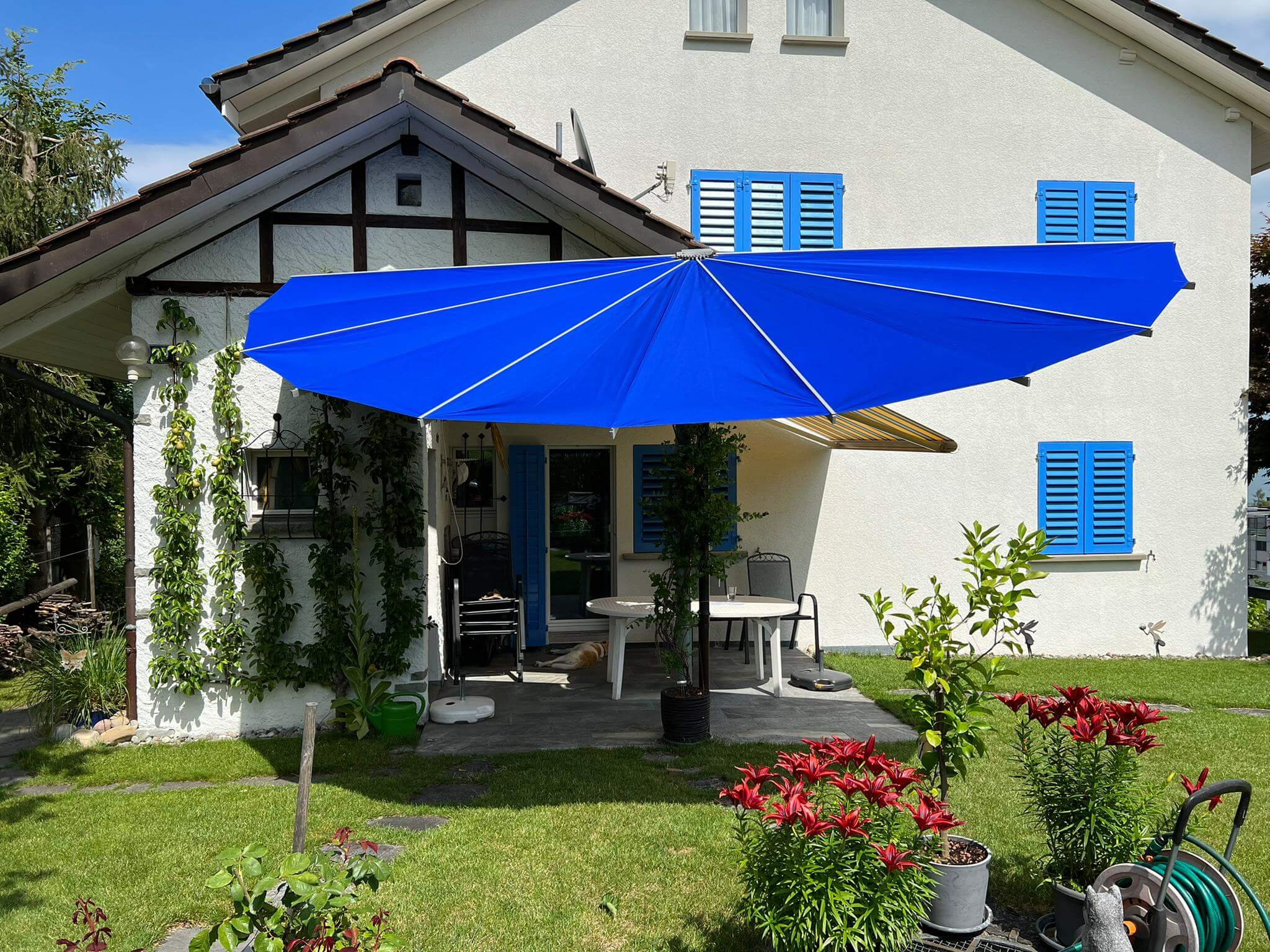 Belalatus® ten – Bild 7