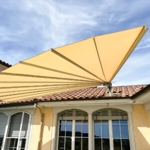 Belalatus® ten